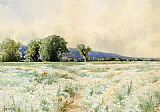 Alfred Thompson Bricher The Daisy Field painting